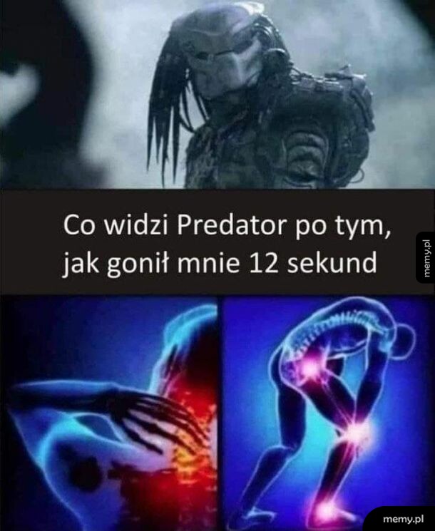 Kradziony mem. Ale który nie jest kradziony...?