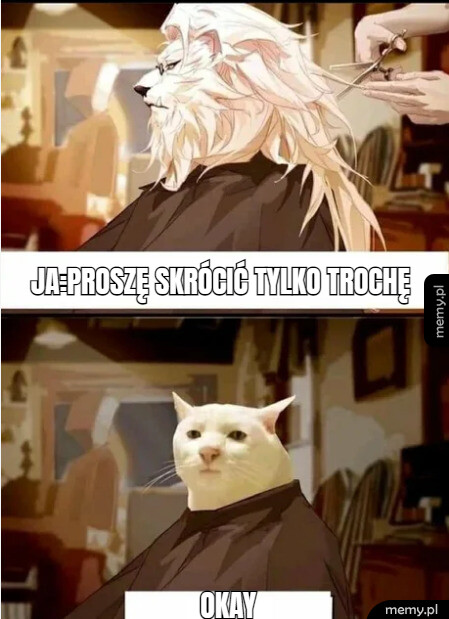 Za każdym razem u fryzjera