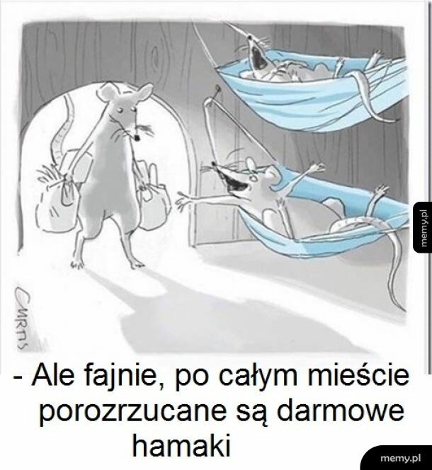 Dla jednych śmieć, dla innych skarb