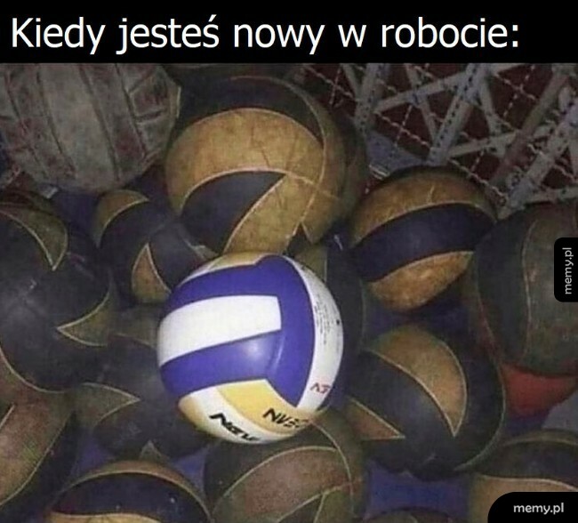 Nowy pracownik