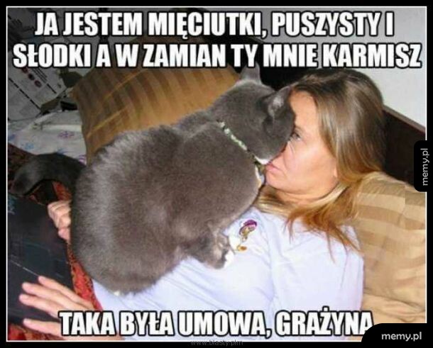 Umowa to umowa. Koniec pieśni.