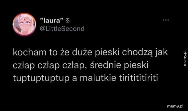 Jak chodzą pieski