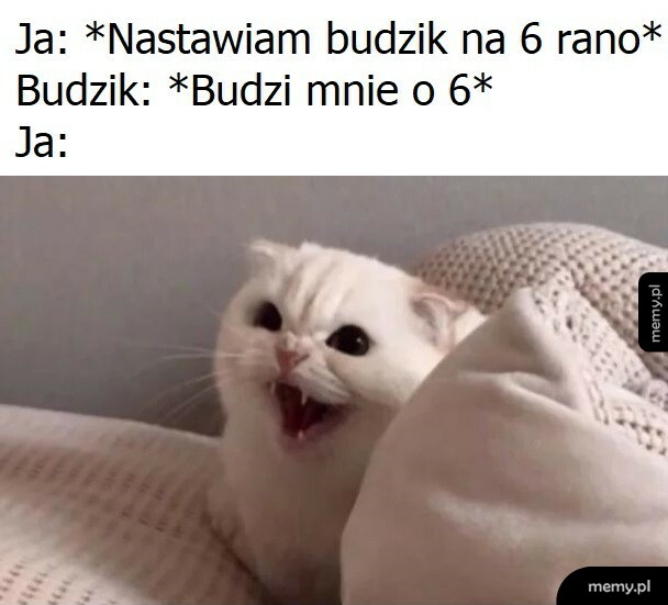 Budzik