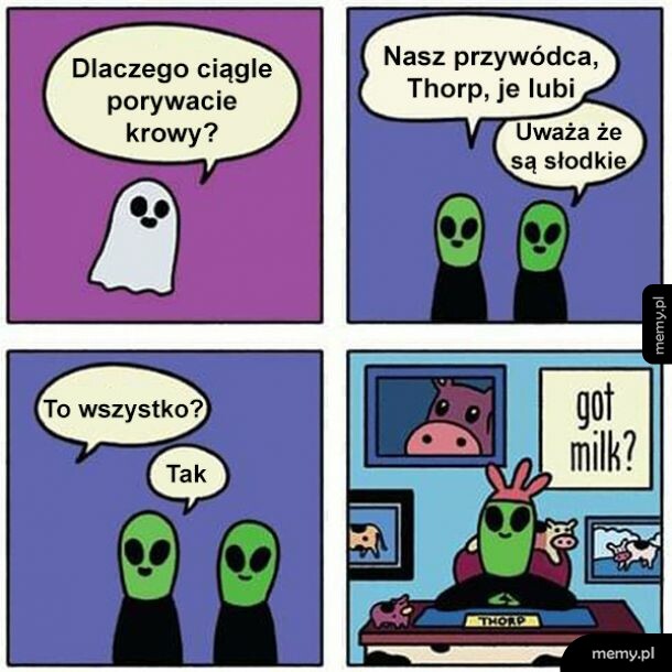 Słodkie krówki