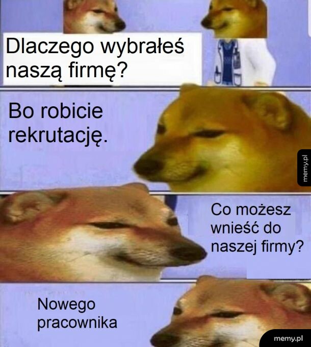 Głupie pytania