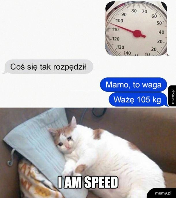 Szybkość