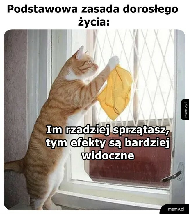 Podstawowa zasada dorosłego życia