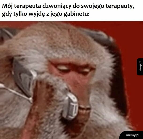 Terapia po terapii