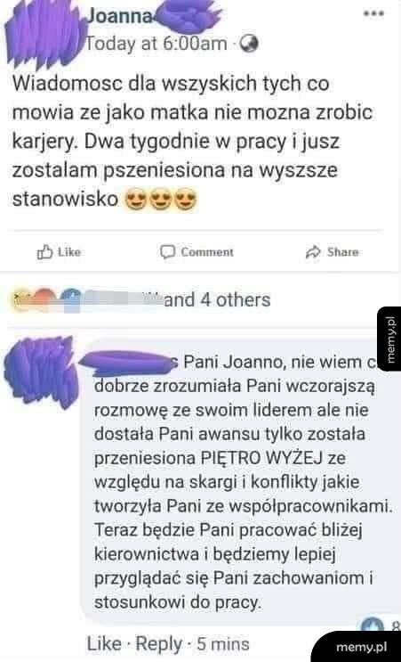 Zawrotna kariera