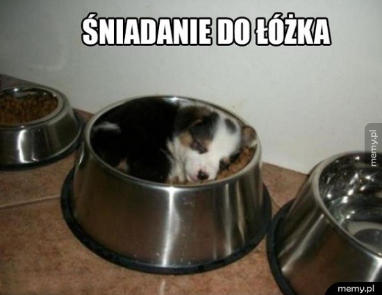 Najlepiej
