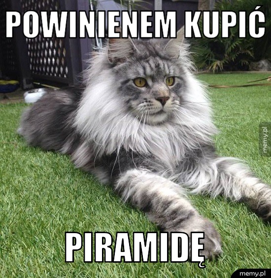 Dobry zakup