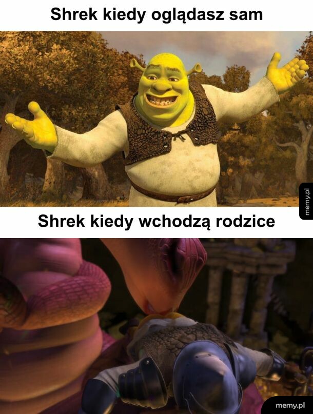 Shrek is love, Shrek is life
