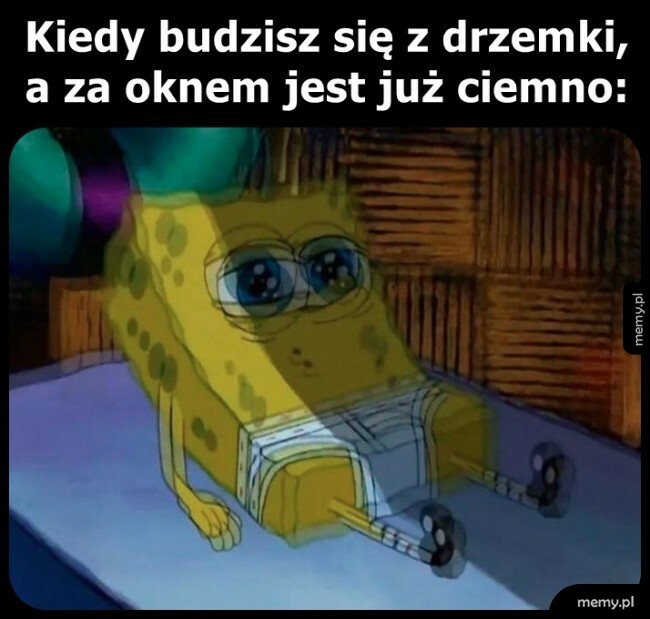 Drzemka