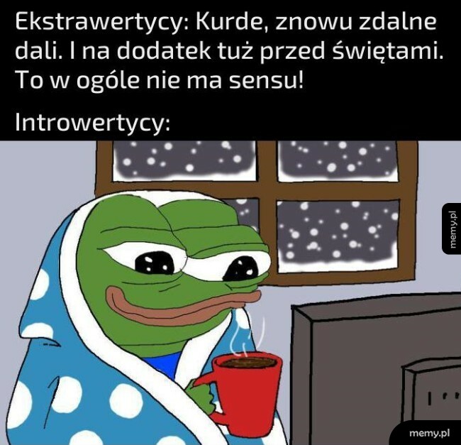 Introwertycy