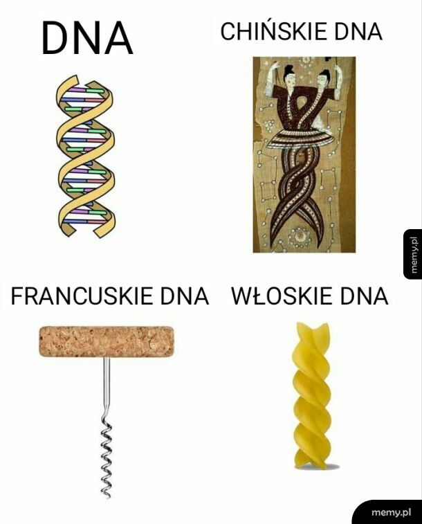 DNA
