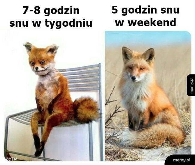 W weekend wystarcza
