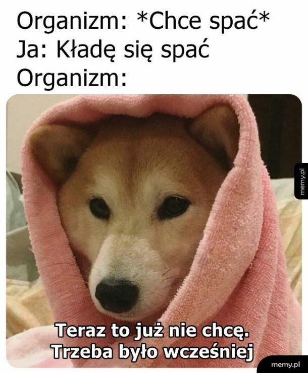 Drzemka