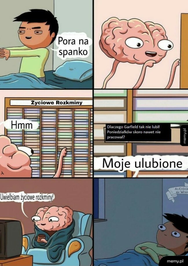 Życiowe rozkminy
