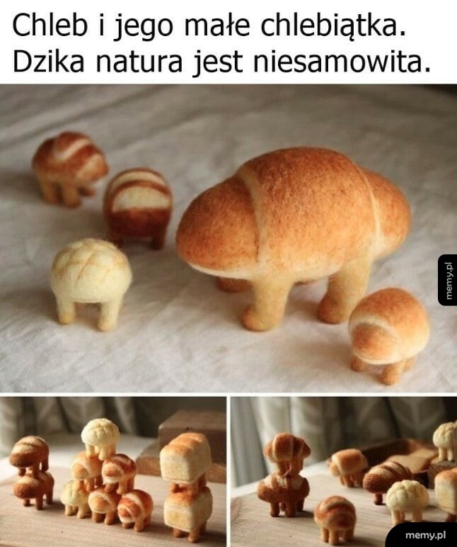Małe chlebiątka