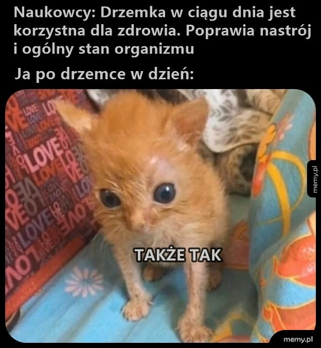 Drzemka