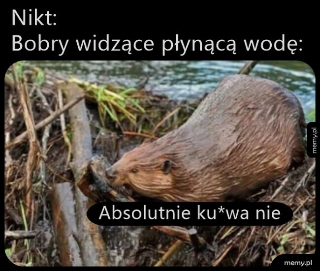 Bobry