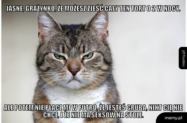Kot Grażynki