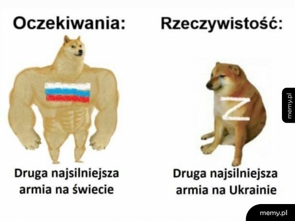 Armia