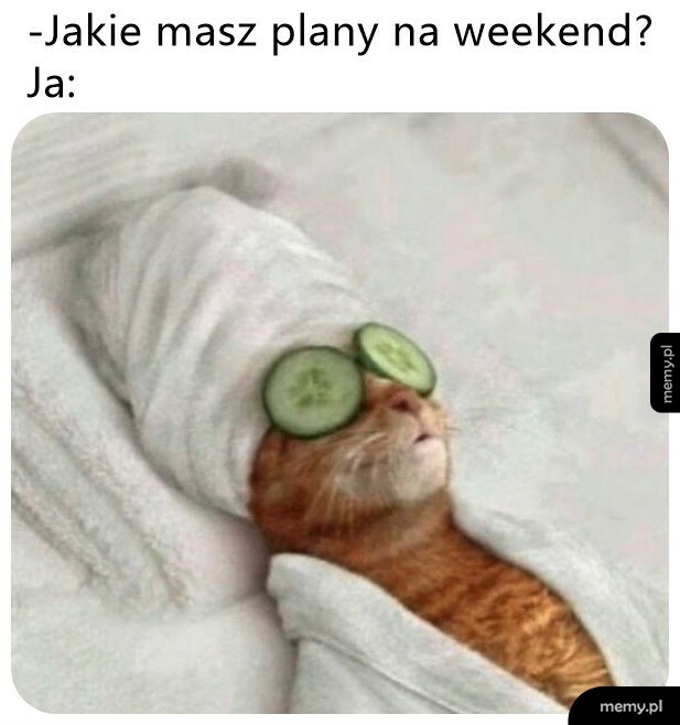 Plany na weekend