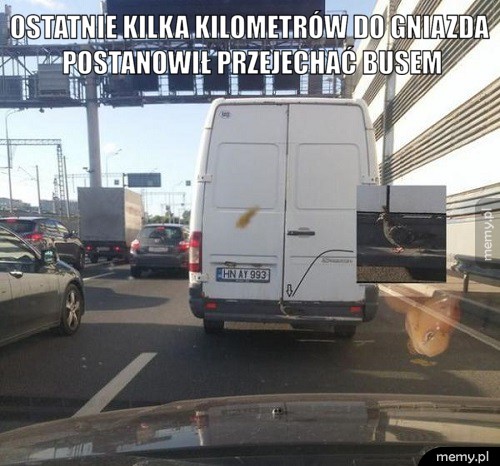Komunikacja miejska.