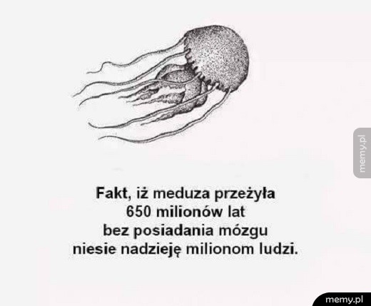 Meduza