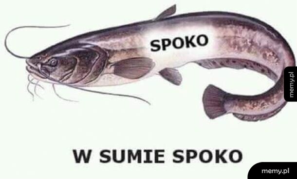 Co u ciebie?
