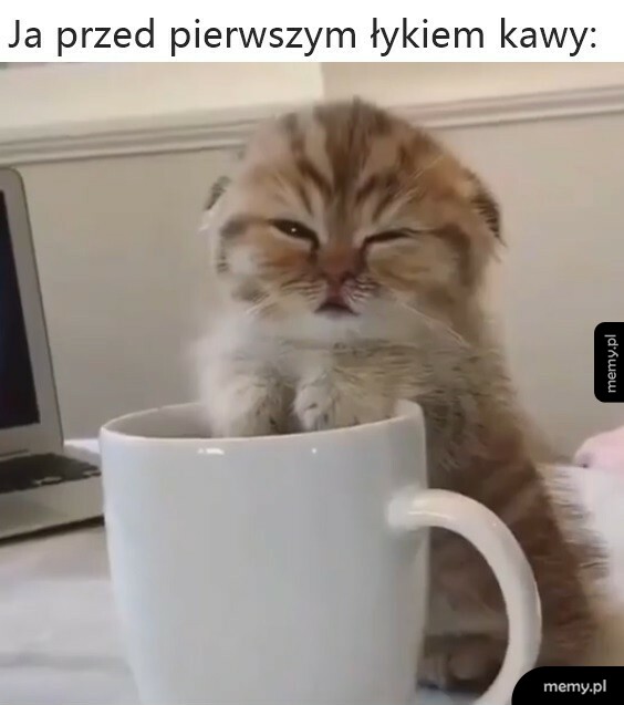 Ciężkie poranki