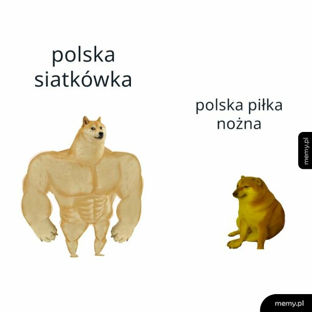 Na nich przynajmniej można liczyć