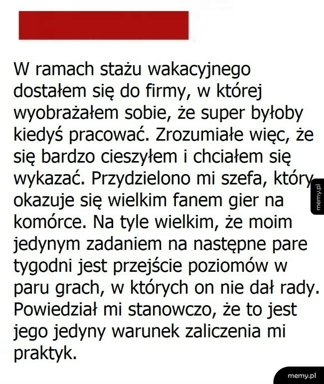 Staż wakacyjny