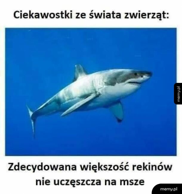 Ateizacja postępuje!