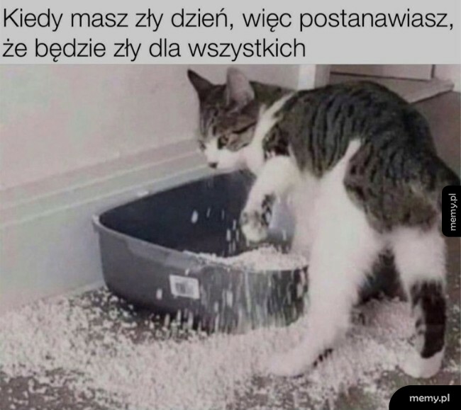 Kiedy masz zły dzień