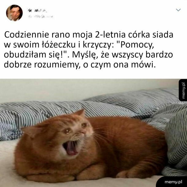 Poranny dramat