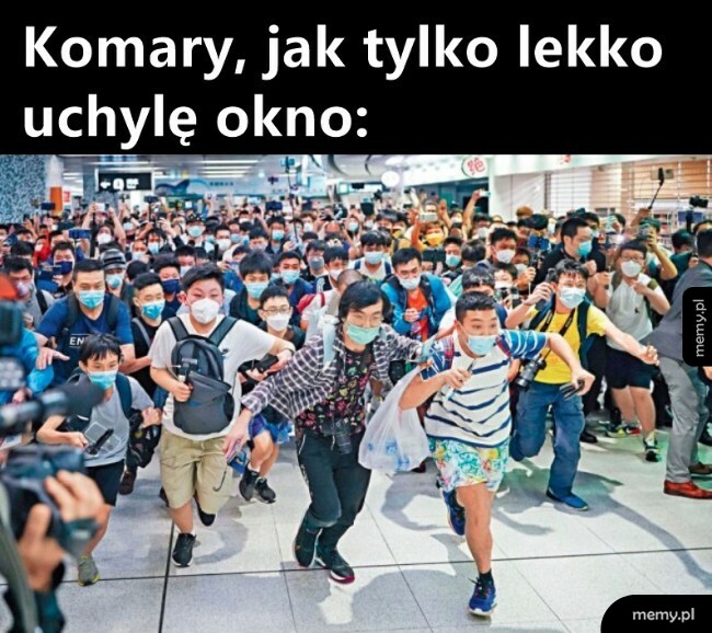 Komary