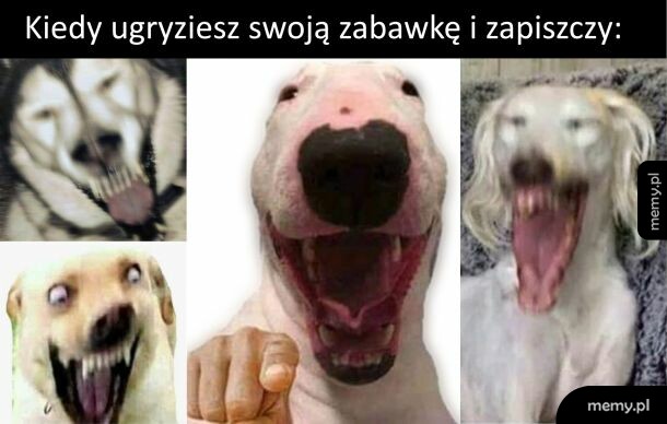 Jest w pytę