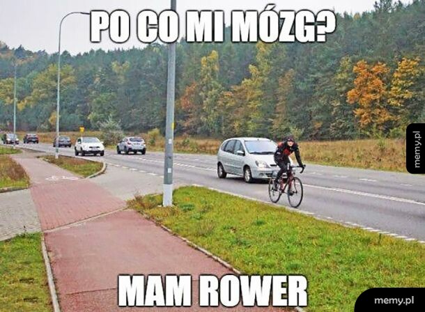 Rower
