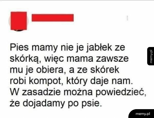 Jabłka