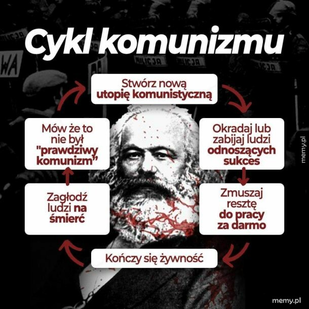 Cykl życia lewaka
