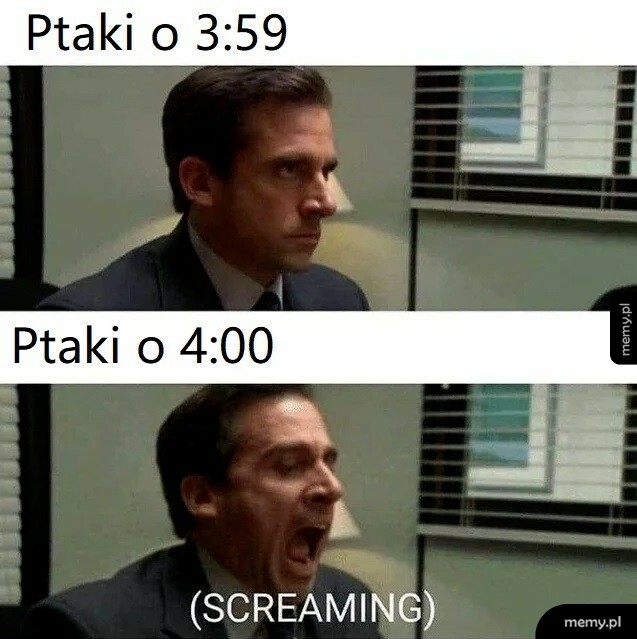 Ptaki