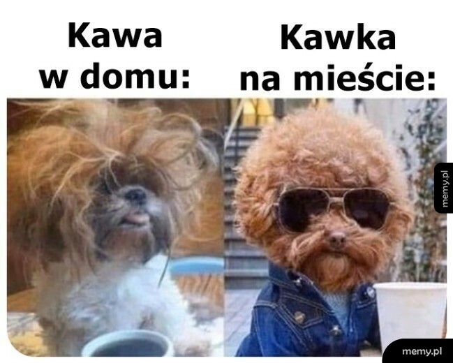 Jest różnica
