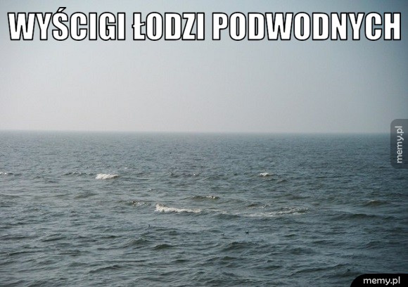 Wyścigi