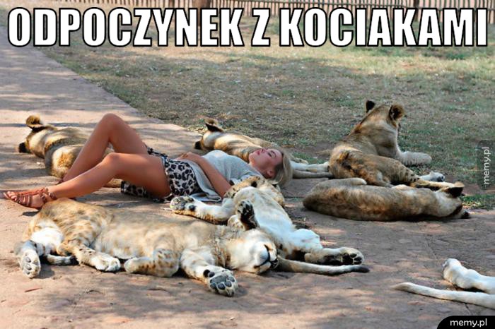 Odpoczynek z kociakami.