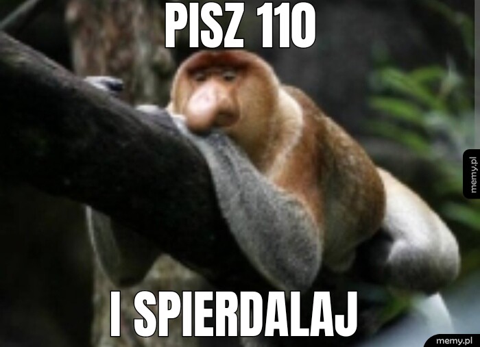 PISZ 110 I SPIERDALAJ