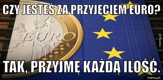 Czy jesteś za przyjęciem euro?