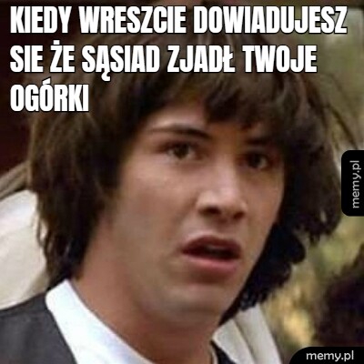 Kiedy wreszcie dowiadujesz sie że sąsiad zjadł twoje ogórki