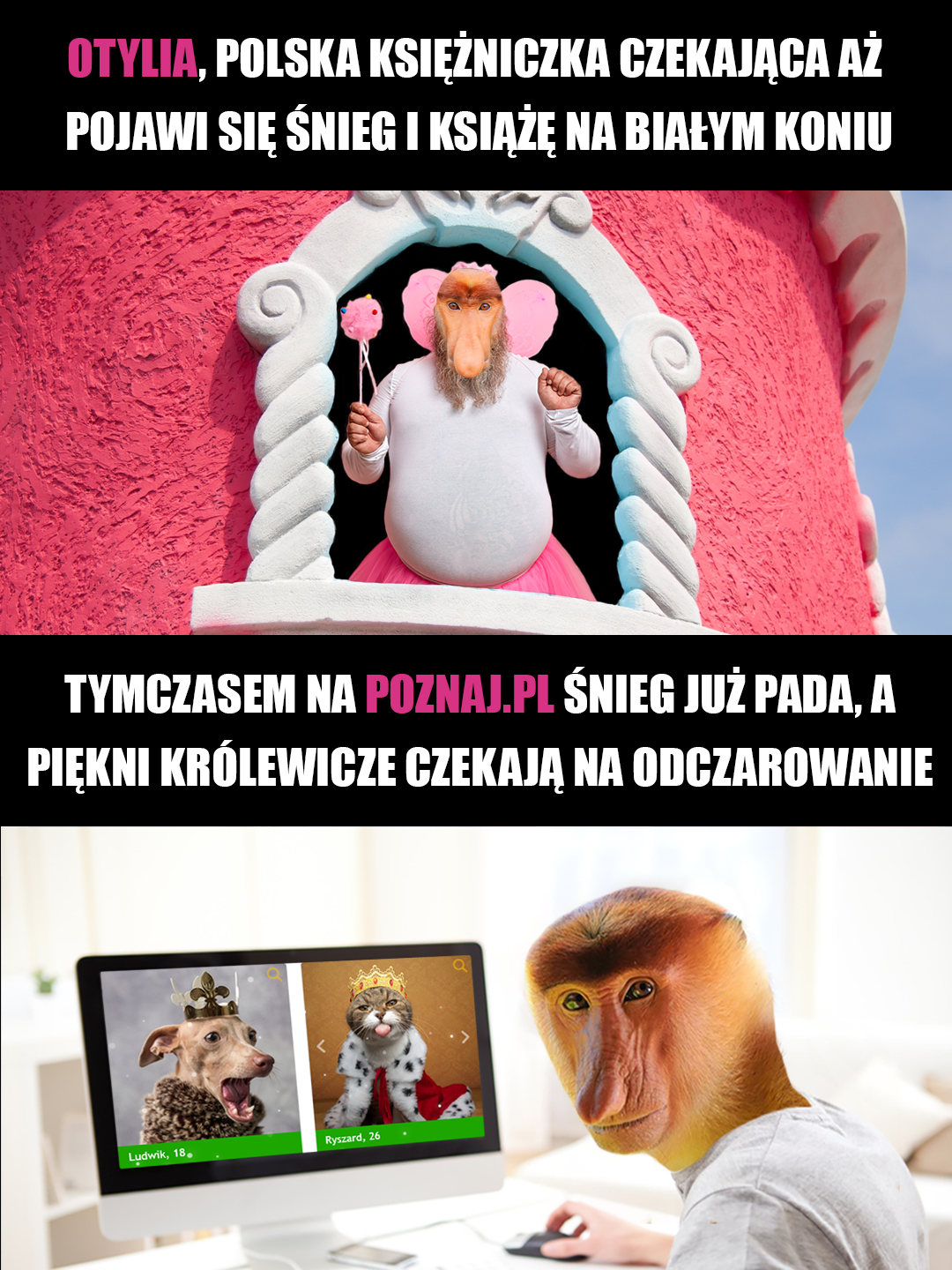 Polska księżniczka
